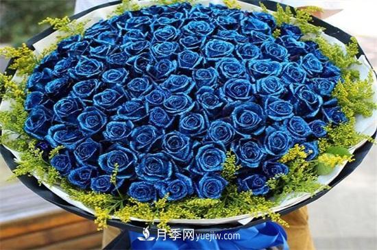 玫瑰花語是什么？盤點五個顏色的玫瑰花語(圖2)