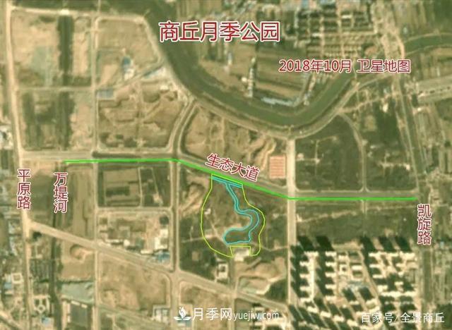 商丘的“市花”和“市樹”是什么，你能想到了(圖2)