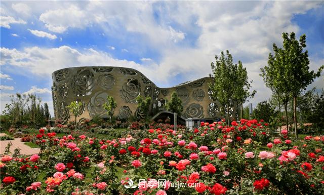 世界月季主題園在中國(guó)月季展中榮獲金獎(jiǎng)！(圖2)