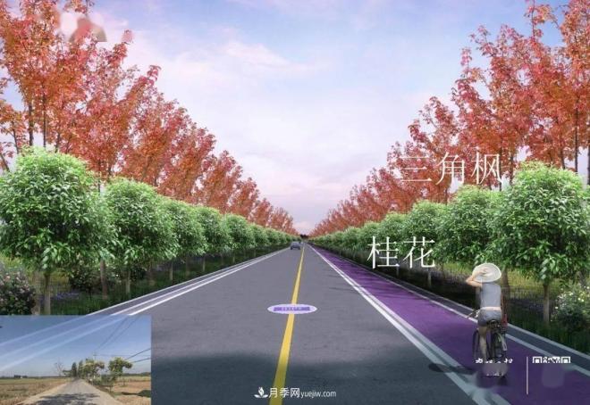 襄陽樊城區(qū)景觀“一號公路”下個月通車，顏值驚人！(圖5)