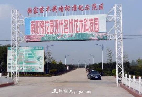 南陽豫花園花木：以生態(tài)為本，打造現(xiàn)代農(nóng)業(yè)“大花園”(圖1)
