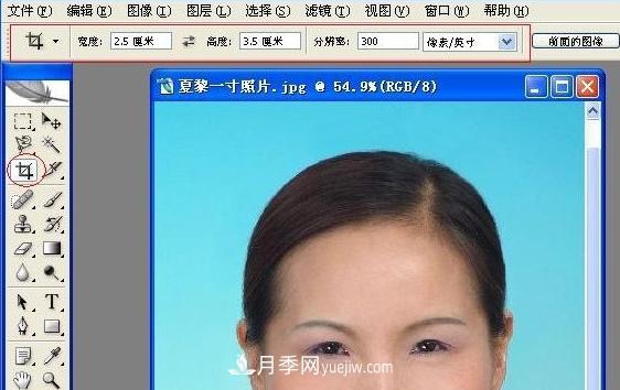 一寸照片的尺寸是多少像素？一寸照片規(guī)格PS排版圖文教程(圖1)