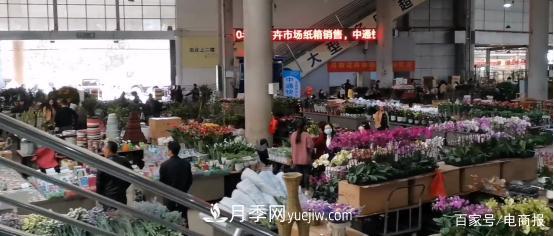 亞洲***大花卉小鎮(zhèn)：昆明斗南玫瑰4毛一支，年銷70億！(圖1)