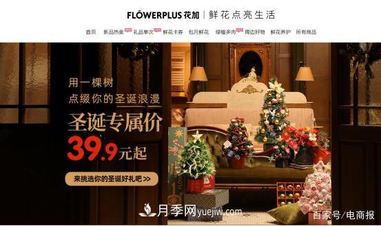 亞洲***大花卉小鎮(zhèn)：昆明斗南玫瑰4毛一支，年銷70億！(圖4)
