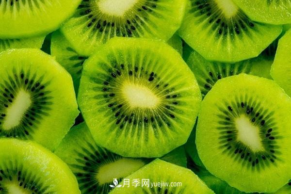 西峽獼猴桃的十大功效，對人體有哪些好處(圖1)
