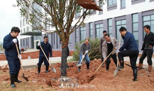 20條可以指導(dǎo)苗木花卉移植的諺語(yǔ)(圖2) 20條可以指導(dǎo)苗木花卉移植的諺語(yǔ)(圖2)