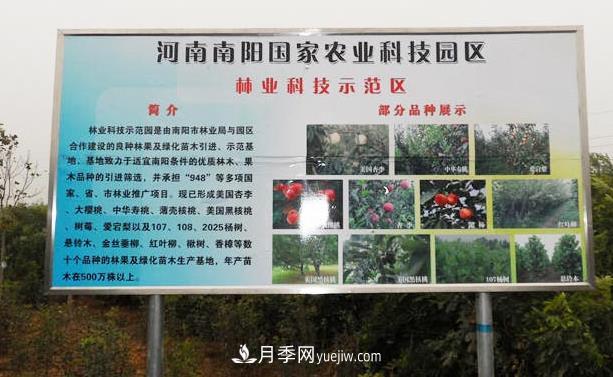 南陽(yáng)國(guó)家農(nóng)業(yè)科技園區(qū)介紹(圖1)