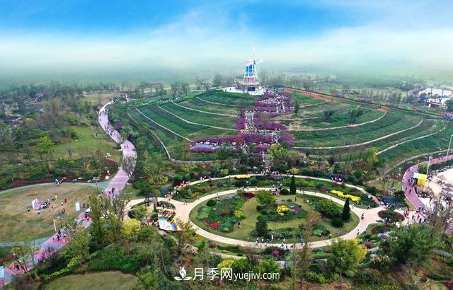 合肥苗交會(huì)簽約77億元，合作成果豐碩(圖3)