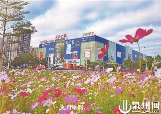 泉州洛江改造提升綠化景觀：城區(qū)四季有景 市民開門見綠(圖1)