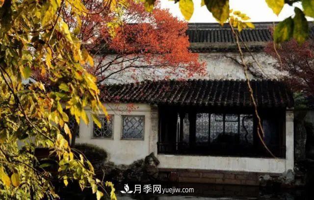 據(jù)說中國人每到一個地方，都要去看看當(dāng)?shù)氐膱@林？(圖1)