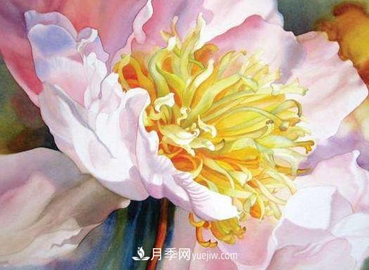 2020-2024年中國花卉市場發(fā)展預(yù)測分析(圖1)