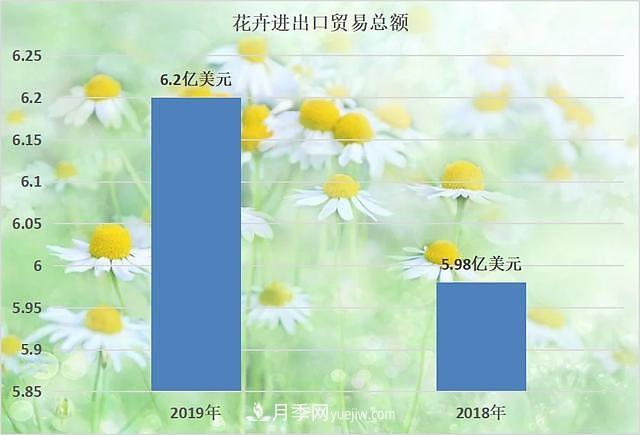 2020-2024年中國花卉市場發(fā)展預(yù)測分析(圖2)