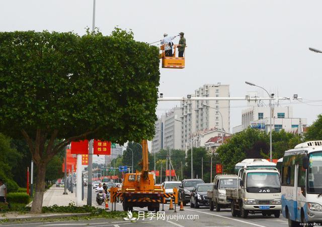 疫情后行情受到壓制，2021年苗木人如何扭轉(zhuǎn)局面(圖2)