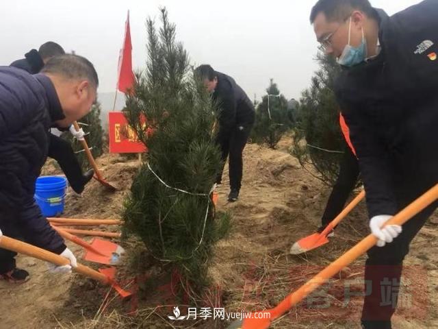 為冬日添新綠！南陽市開展千人義務(wù)植樹活動(圖1)