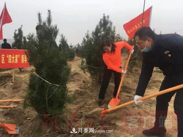 為冬日添新綠！南陽市開展千人義務(wù)植樹活動(圖2)