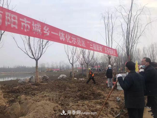 南陽月季大觀園西園建設提速：黨員干部開展冬季義務植樹(圖1)
