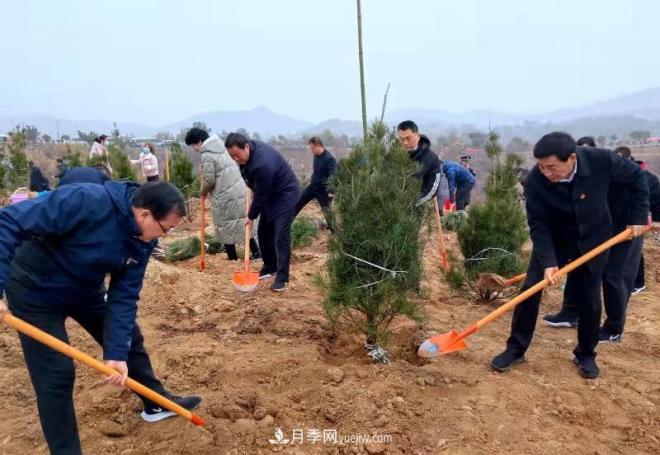 南陽(yáng)市臥龍區(qū)：千人同植樹 共建生態(tài)林(圖1)