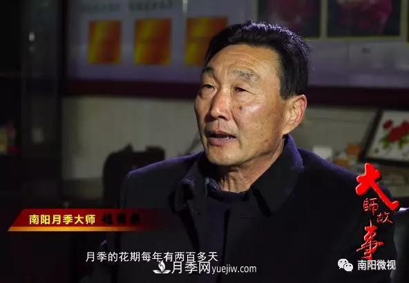 南陽月季大師——趙國強(圖1)