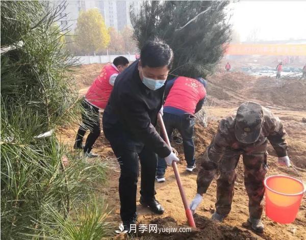 鄭州鞏義：4000多人栽下25000多棵苗木(圖2)