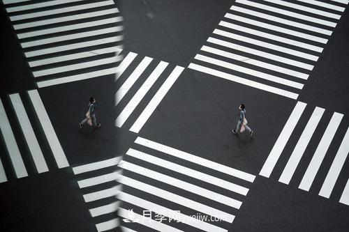 2020年歪果仁選中的年度詞匯，其實(shí)都說(shuō)了一件事(圖3)