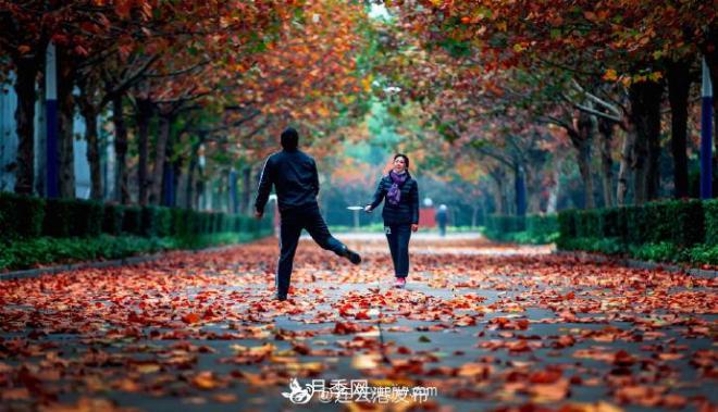 連云港灌云：撩人，滿城風(fēng)景看不盡(圖3)