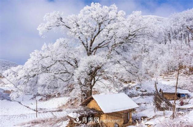 湖北襄陽(yáng)?？担焊呱届F凇美如畫(huà)(圖1)