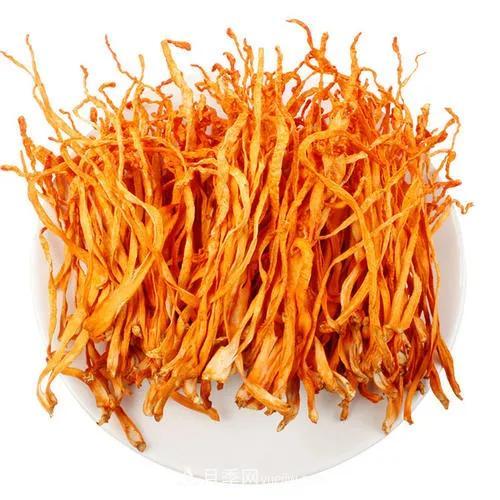中國蛹蟲草（北冬蟲夏草）產業(yè)發(fā)展前景及風險分析(圖1)