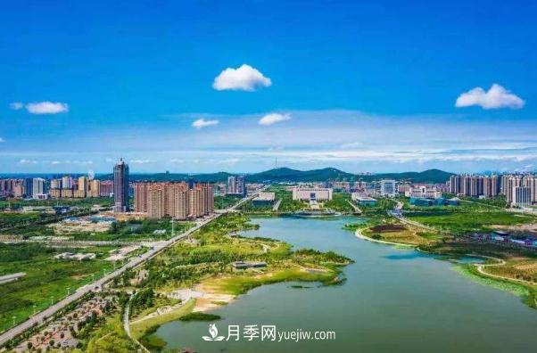 淮南市花、市樹是什么？是月季嗎？(圖1)