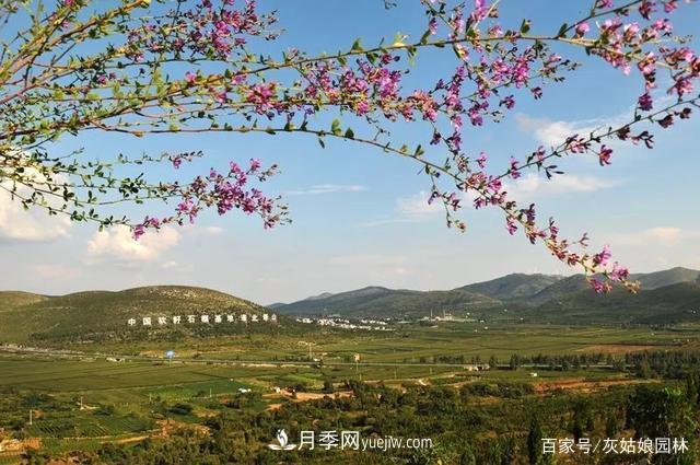 安徽淮北旅游，9個必去的景點盤點(圖1)