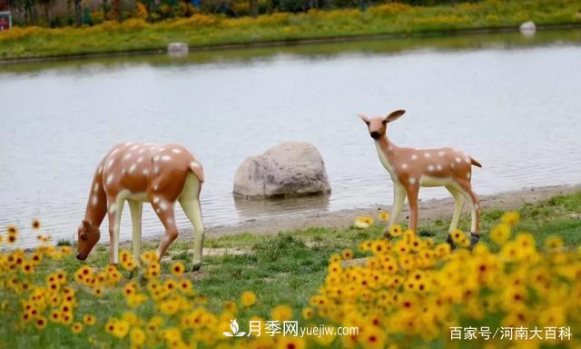 許昌投資2.9億多元，30個園林綠化項目讓許昌更美！(圖3)