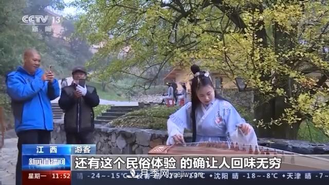 江西銀杏樹披金甲 還不快來云打卡(圖1)