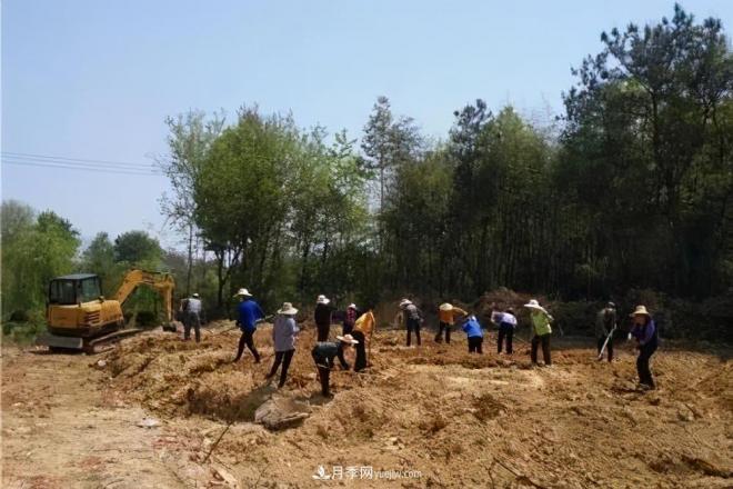 注意，2021年農(nóng)田5不準(zhǔn)：違規(guī)罰上萬，關(guān)系戶都沒用(圖2)
