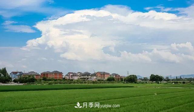 注意，2021年農(nóng)田5不準(zhǔn)：違規(guī)罰上萬，關(guān)系戶都沒用(圖1)