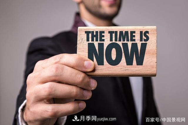 “站在風(fēng)口上，豬都能飛起來(lái)！”園林苗木行業(yè)的下一個(gè)風(fēng)口在哪？(圖1)