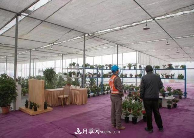 杭州“護花使者”讓苗木健康過冬(圖1)