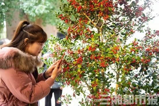 湘贛邊首屆花木博覽會(huì)在湖南瀏陽(yáng)啟幕(圖1)