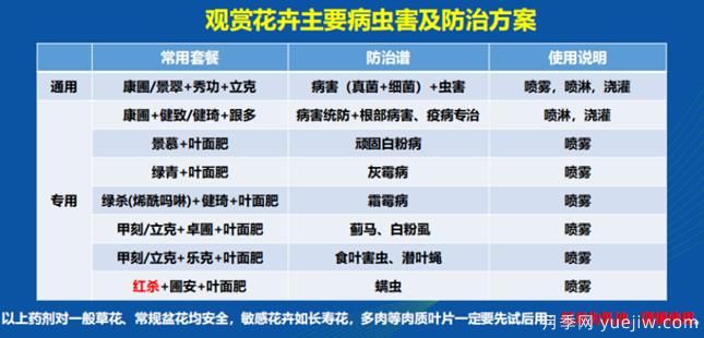 如何提高景觀花卉高發(fā)蟲害的防治效果？(圖1)