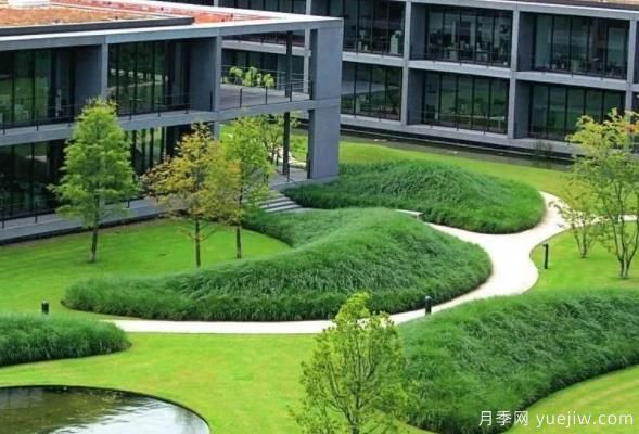 怎樣判斷草坪質(zhì)量的好壞？看4個(gè)評(píng)價(jià)指標(biāo)(圖1)