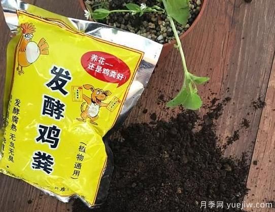 花卉綠植常用三大花肥分析，有機(jī)肥、無(wú)機(jī)肥、發(fā)酵各種糞(圖1)