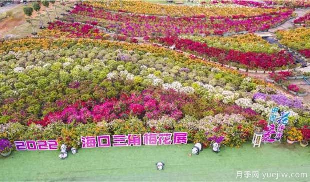 2022年?？谌敲坊ㄕ箚⒛唬迦富ㄍ躞@艷出場(圖1)