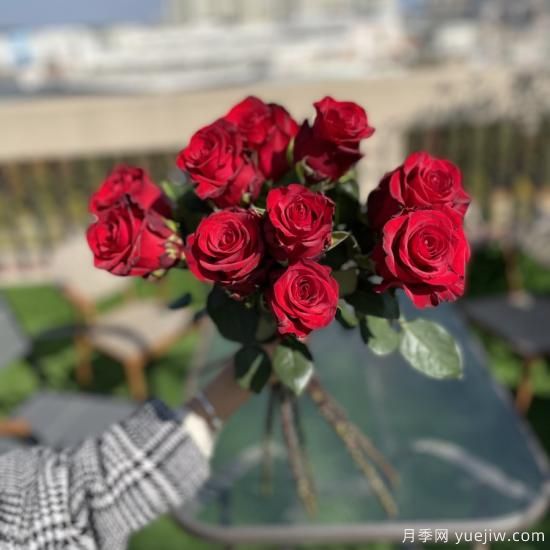 花店常備的15種紅玫瑰是什么？有什么優(yōu)缺點？(圖2)
