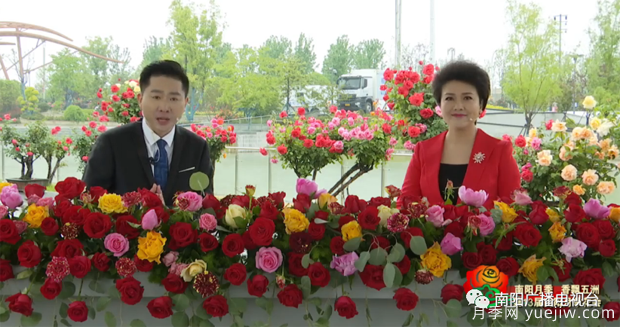 2022年第十三屆南陽(yáng)月季花會(huì)開(kāi)幕，南陽(yáng)電臺(tái)全媒體直播(圖1)