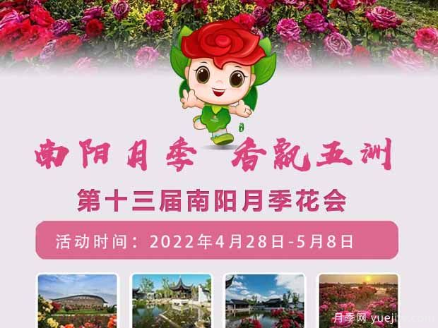 第十三屆南陽(yáng)月季花會(huì)于2022年4月28日至5月8日舉辦(圖1)