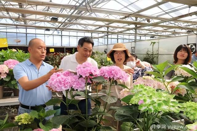 陜西省花卉產(chǎn)業(yè)創(chuàng)新發(fā)展論壇舉行，培育陜花地域品牌(圖1)