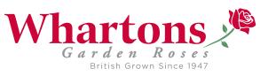 月季育種家：英國(guó)沃頓花園玫瑰苗圃(Whartons Nurseries)(圖1)