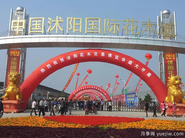 花木城：江蘇沭陽(yáng)國(guó)際花木城(圖1)