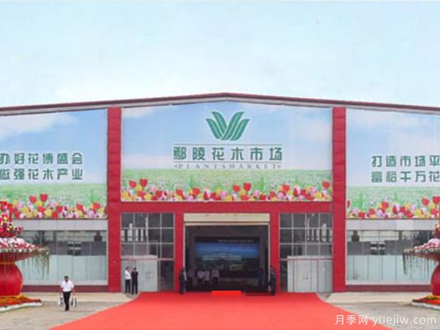 花木城：河南鄢陵花木市場(chǎng)(圖1)