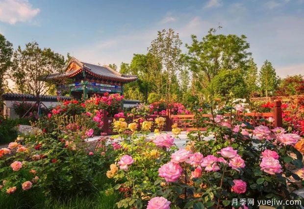 南陽世界月季大觀園國慶游園會，盛世船情夢回南都 (圖2)