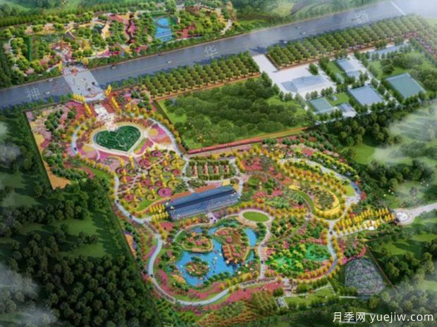 河北滄州再添新景，肅寧國(guó)際月季博覽園正式開園(圖1)