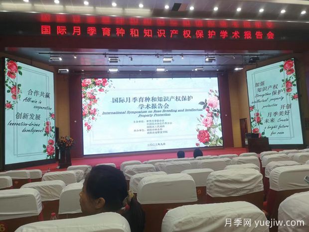 國際月季育種和知識產(chǎn)權(quán)保護座談會在南陽舉辦(圖1)